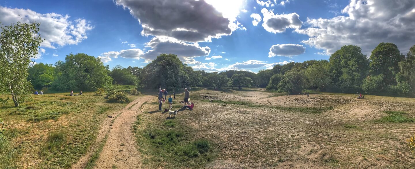 Tread carefully…..our acid grassland is disappearing! Barnes Common