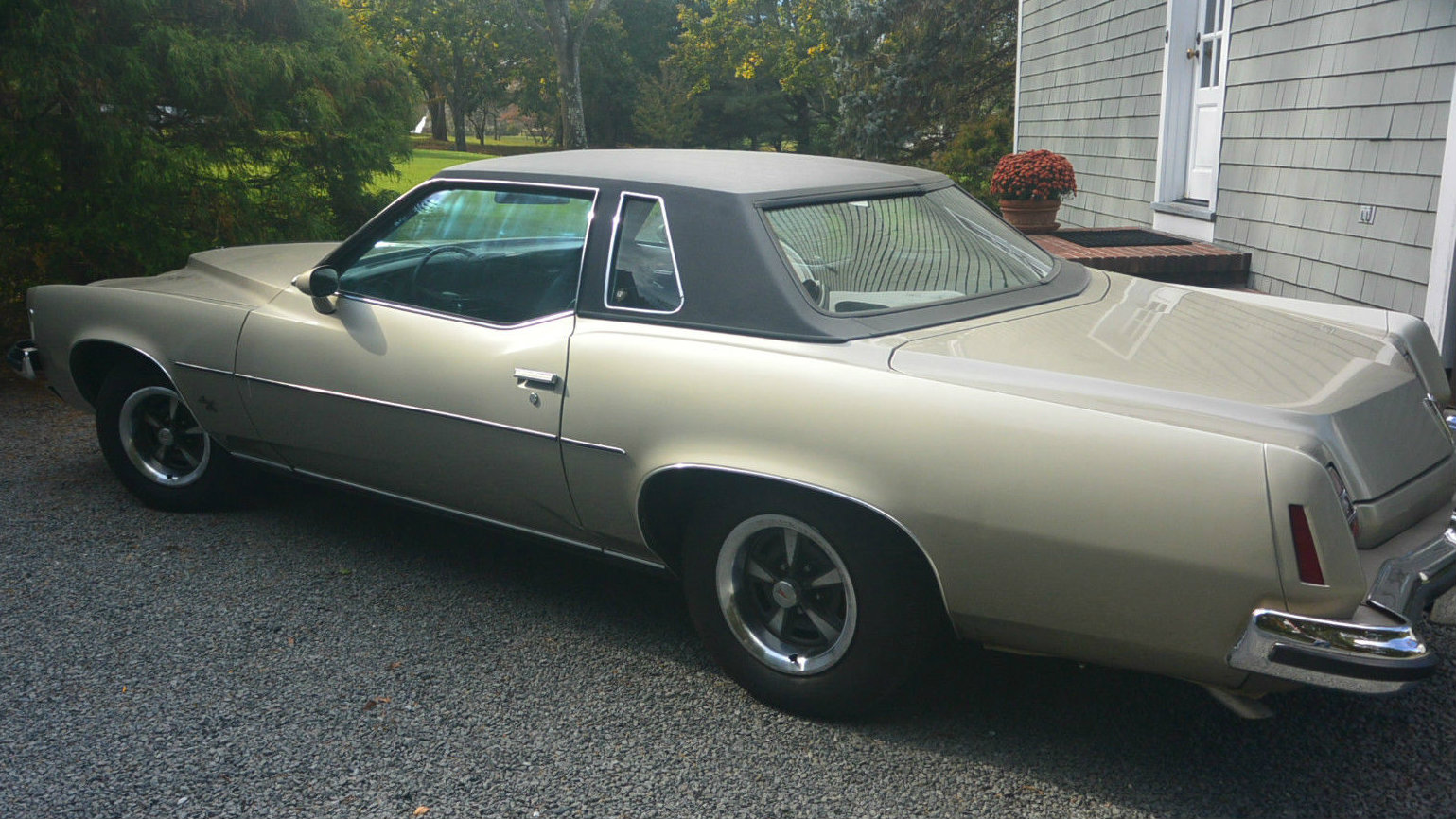 Wide Track Bargain 1973 Grand Prix