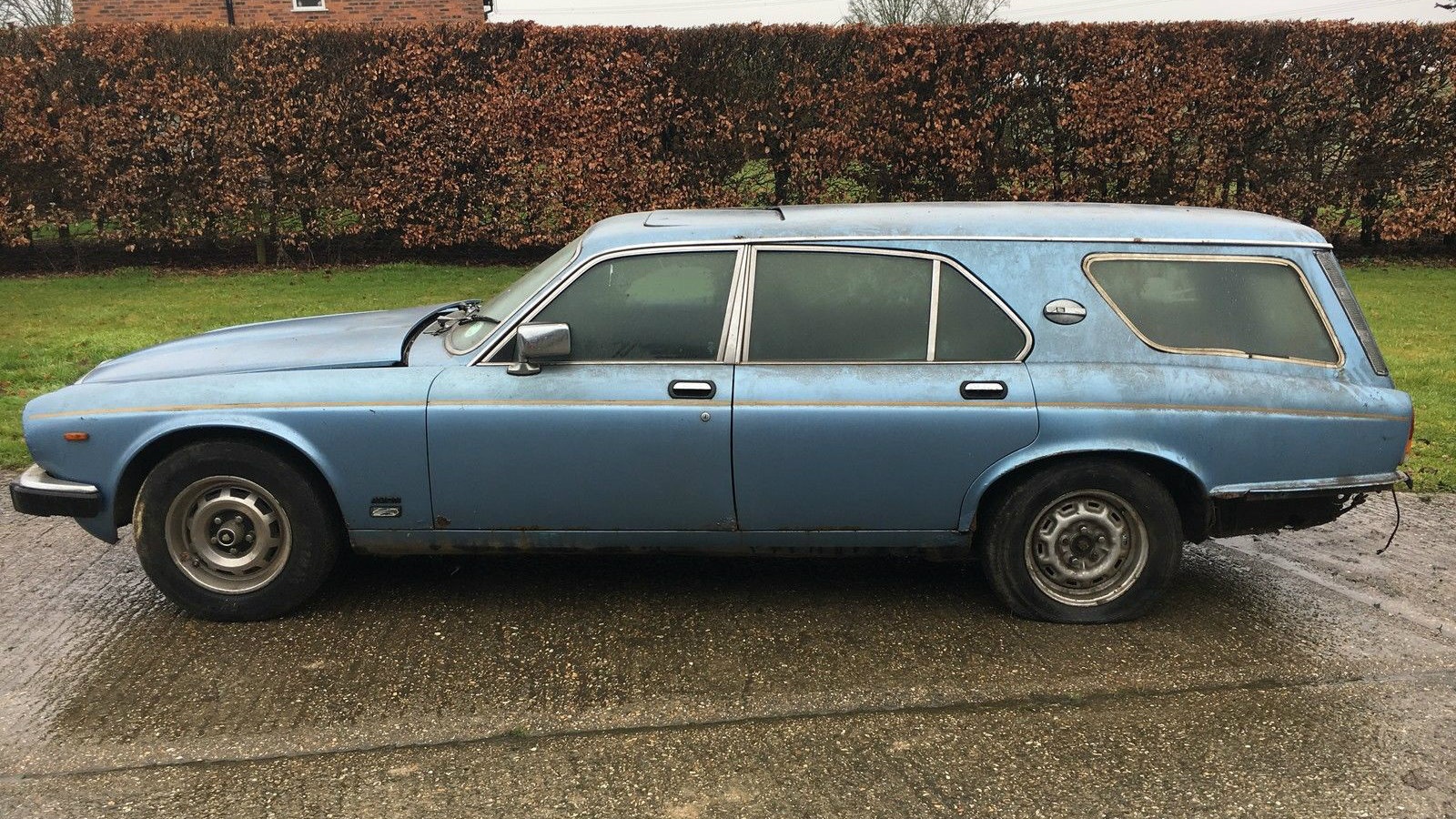 Ever Seen One? 1981 Jaguar XJ Ladbroke Wagon