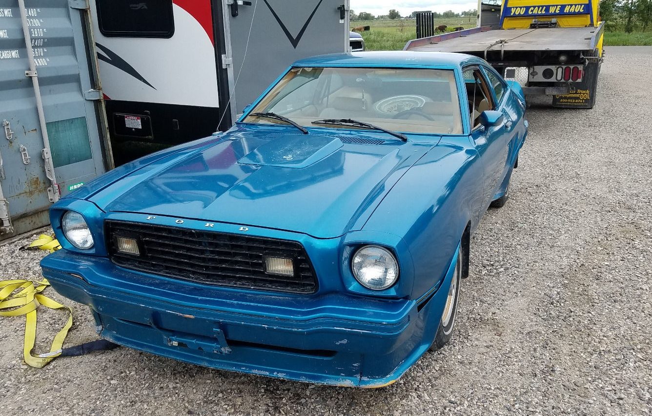 Low Reserve 1978 Ford Mustang King Cobra