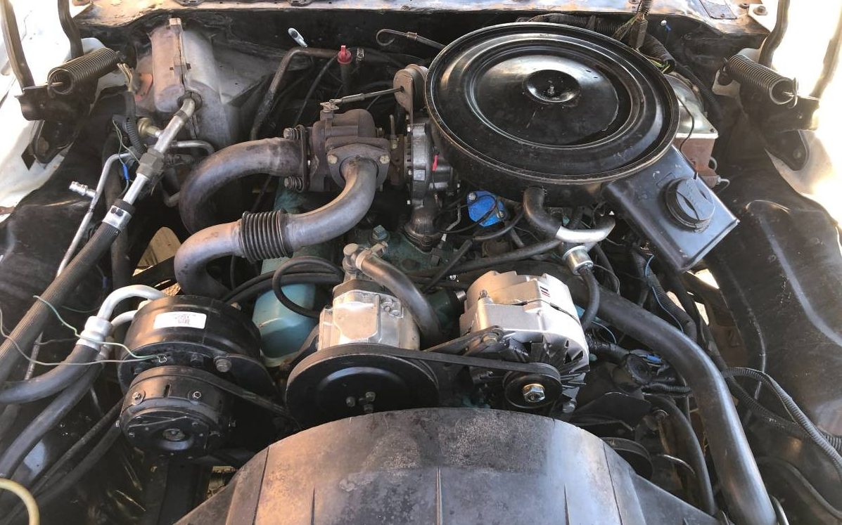 1980 Trans AM Engine