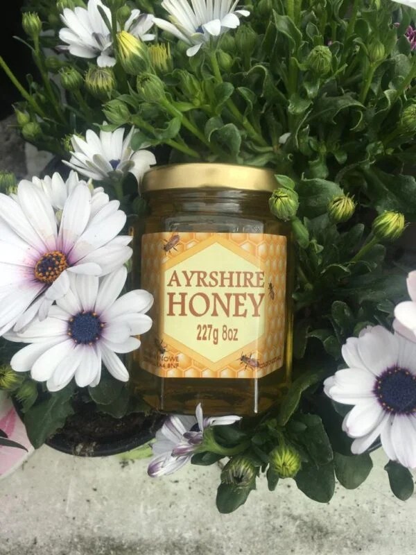 Ayrshire Clear Honey Barnhill Boxes