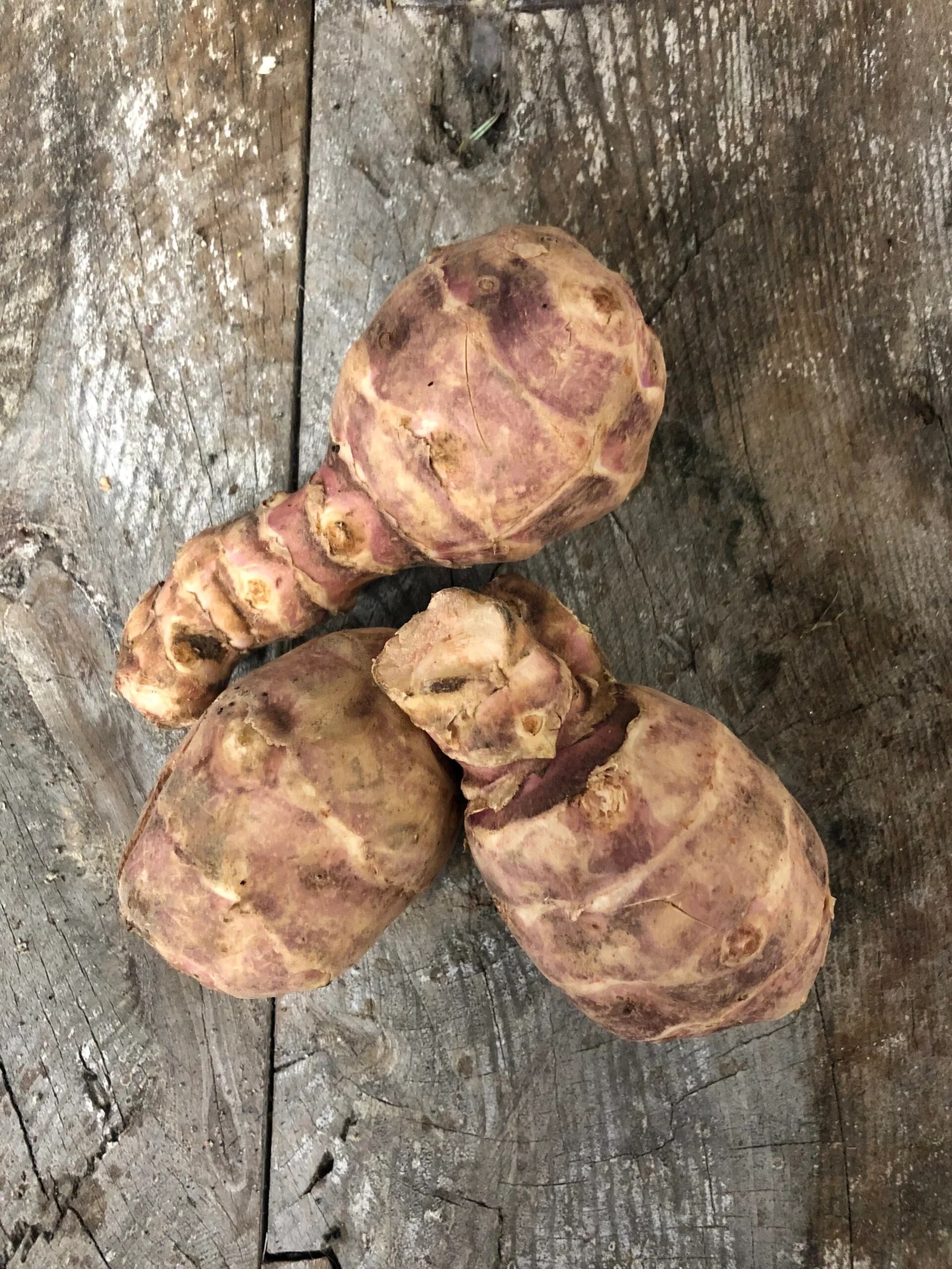 Jerusalem Artichokes 500g Barnhill Boxes