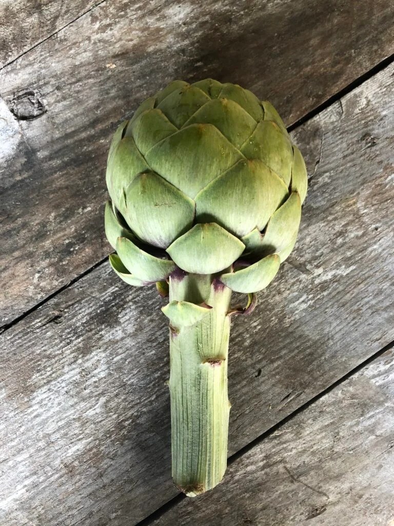 Globe Artichokes Each Barnhill Boxes