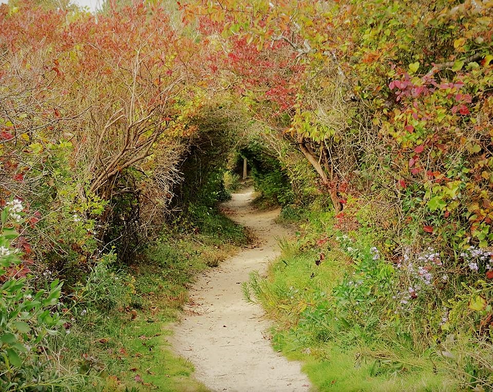 The Unitarian Church of Barnstable Children & Youth