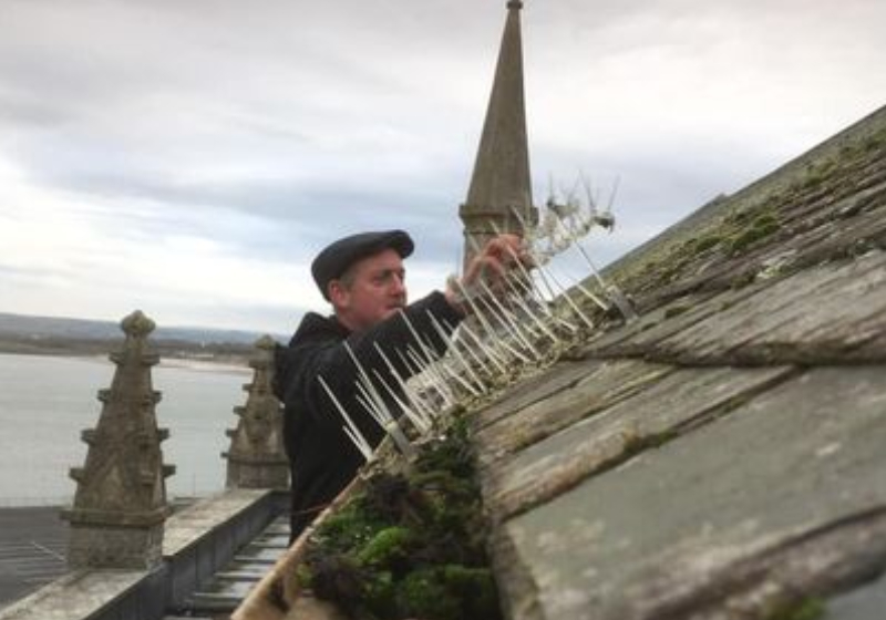 Gallery Barnstaple Window Cleaning