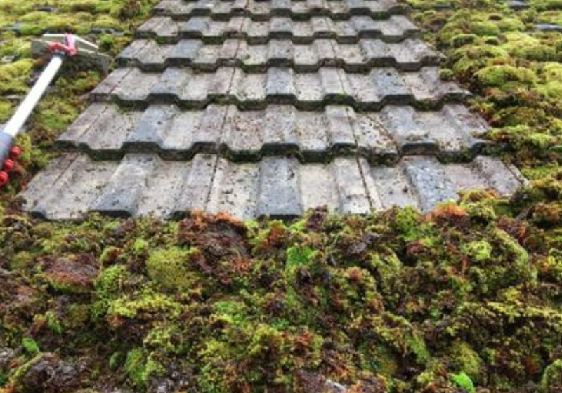 Gallery Barnstaple Window Cleaning