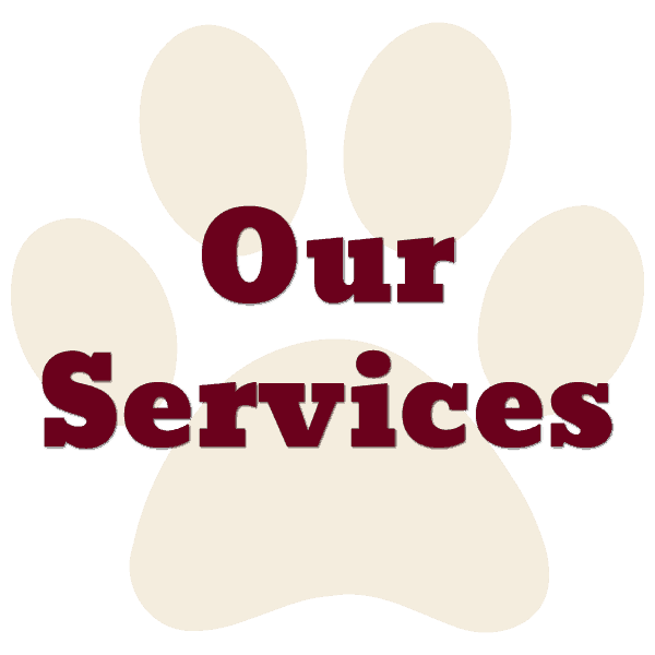 Veterinarian in Gatesville Family Vet Services Gatesville Animal