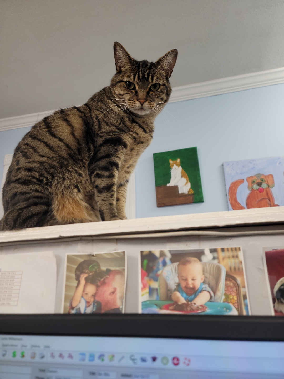 Magnolia the Princess Barnwell Veterinary Clinic Barnwell, South Carolina