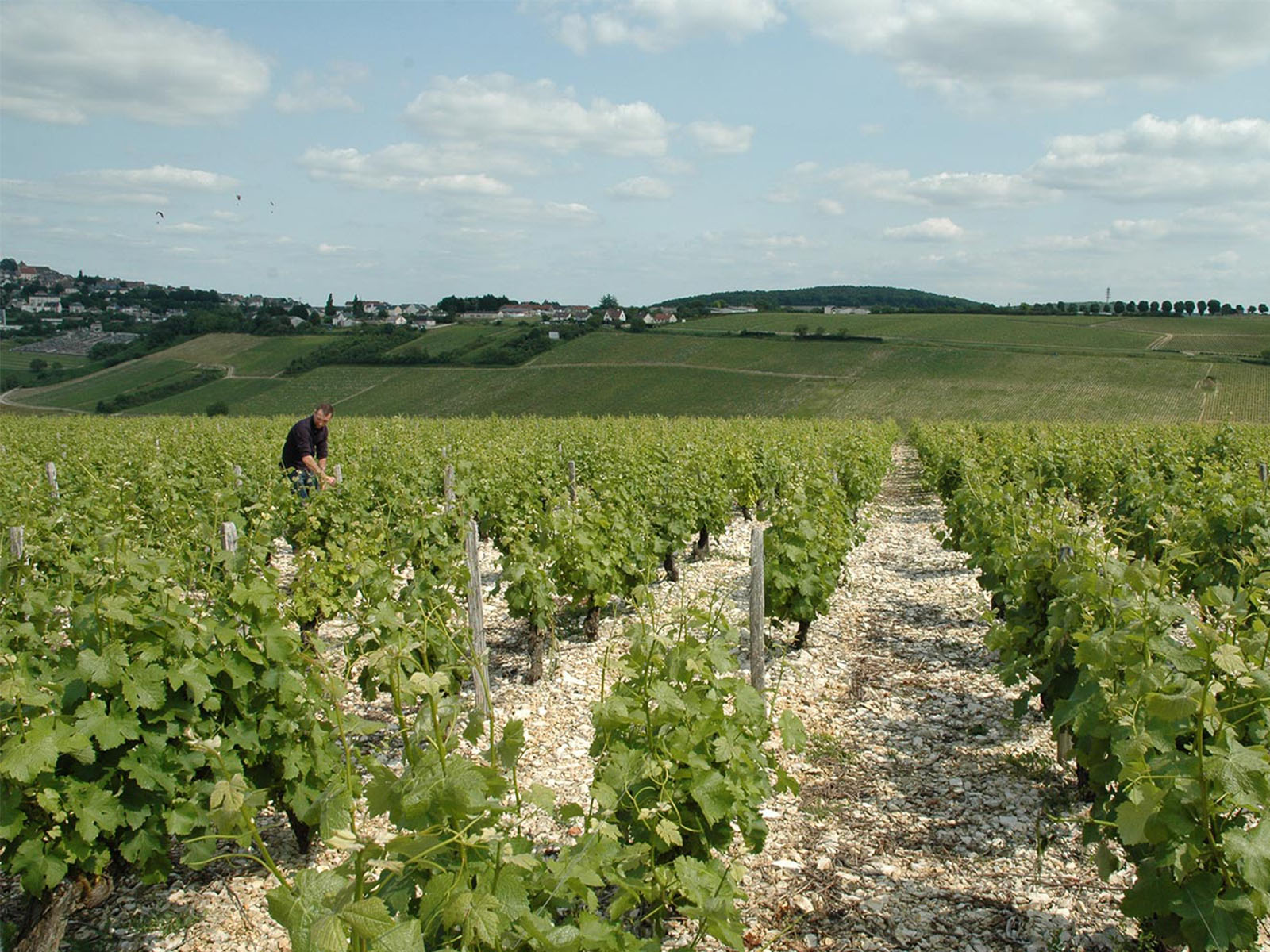 Gilles Lesimple Baron Francois