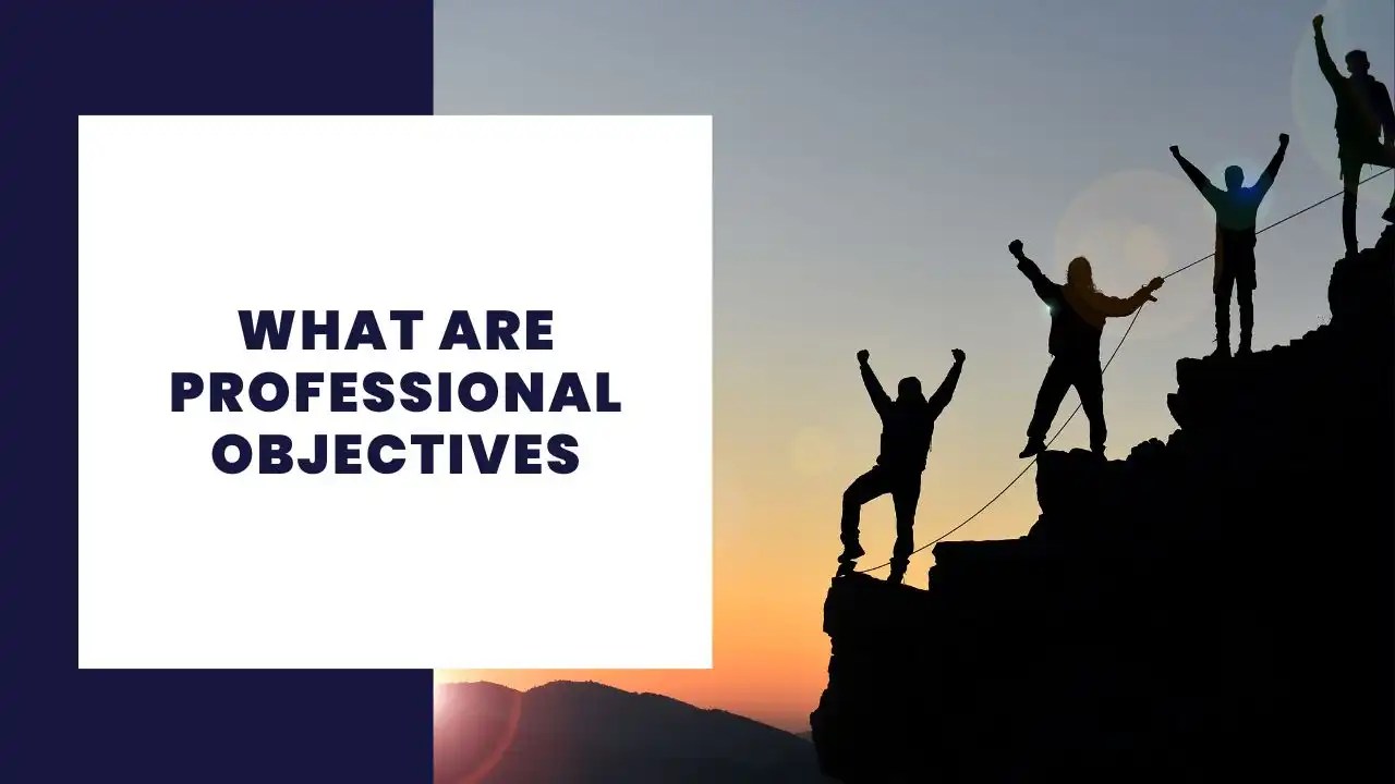What are professional objectives? Definition and examples