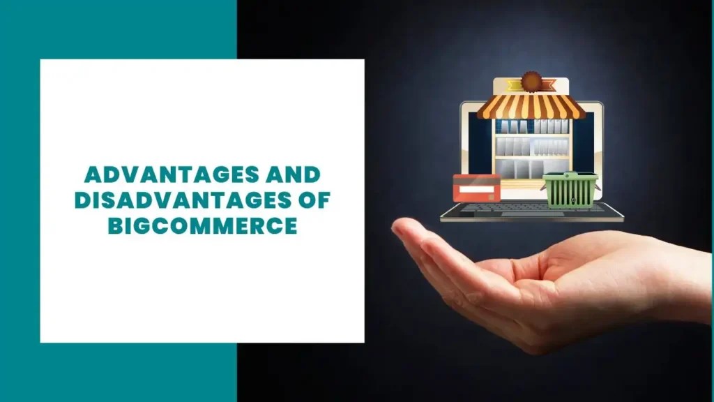 17 Advantages and Disadvantages of