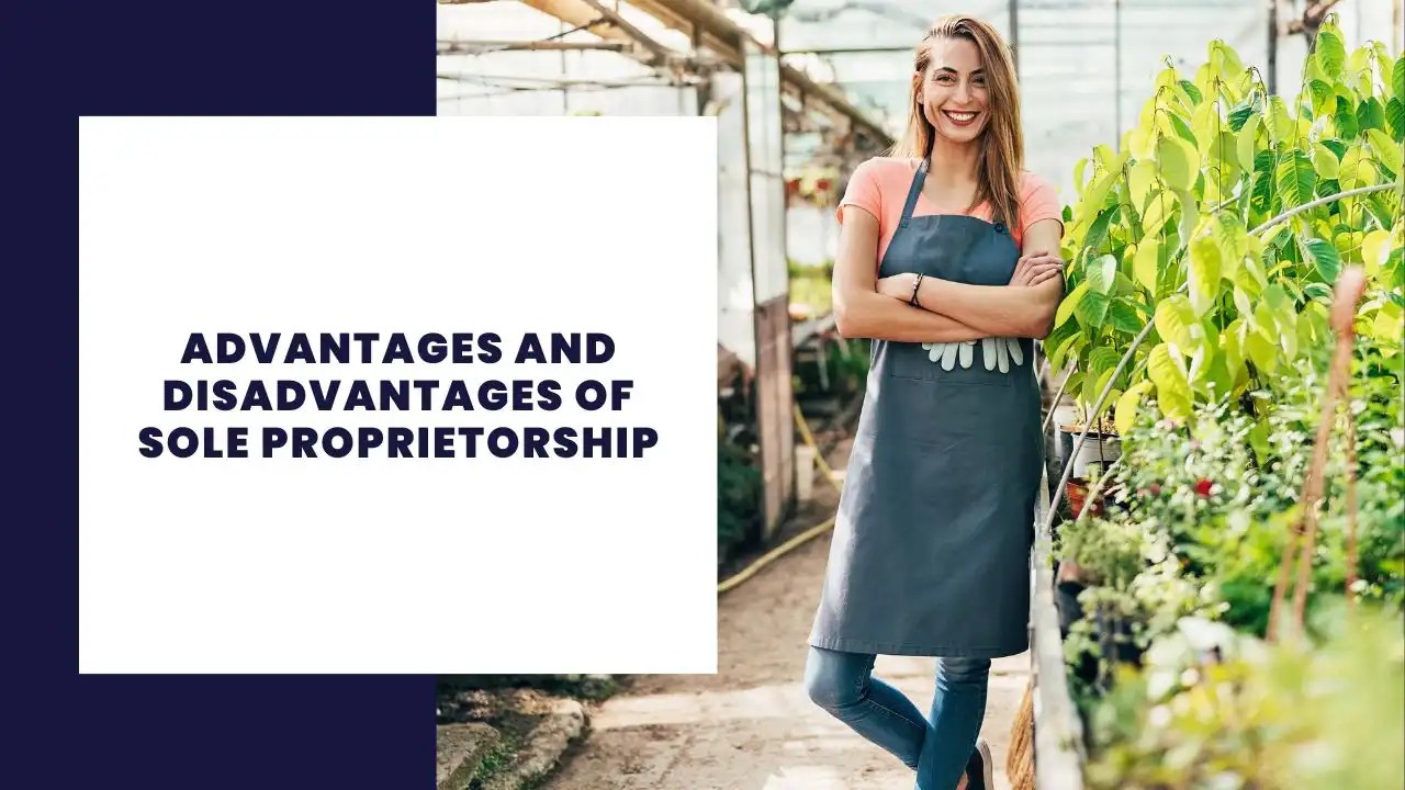 11 Advantages and Disadvantages of Sole Proprietorship