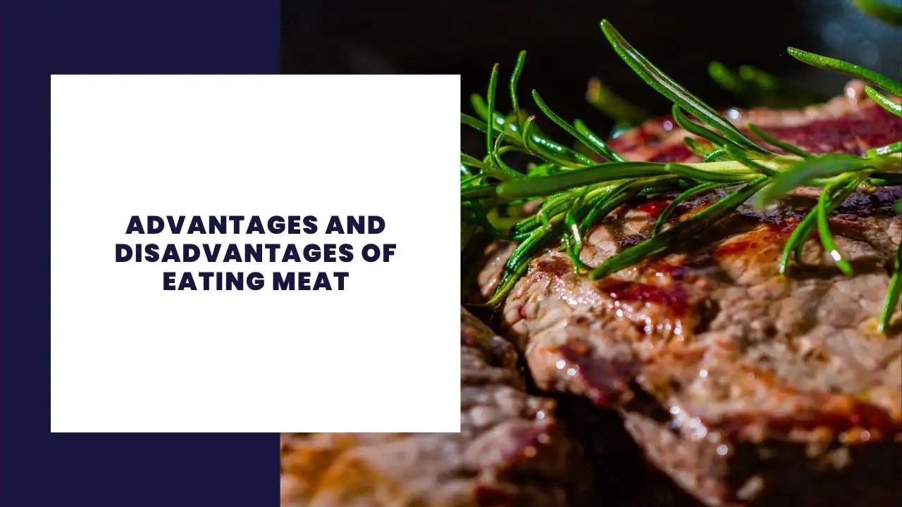 14 Advantages and Disadvantages of Eating Meat