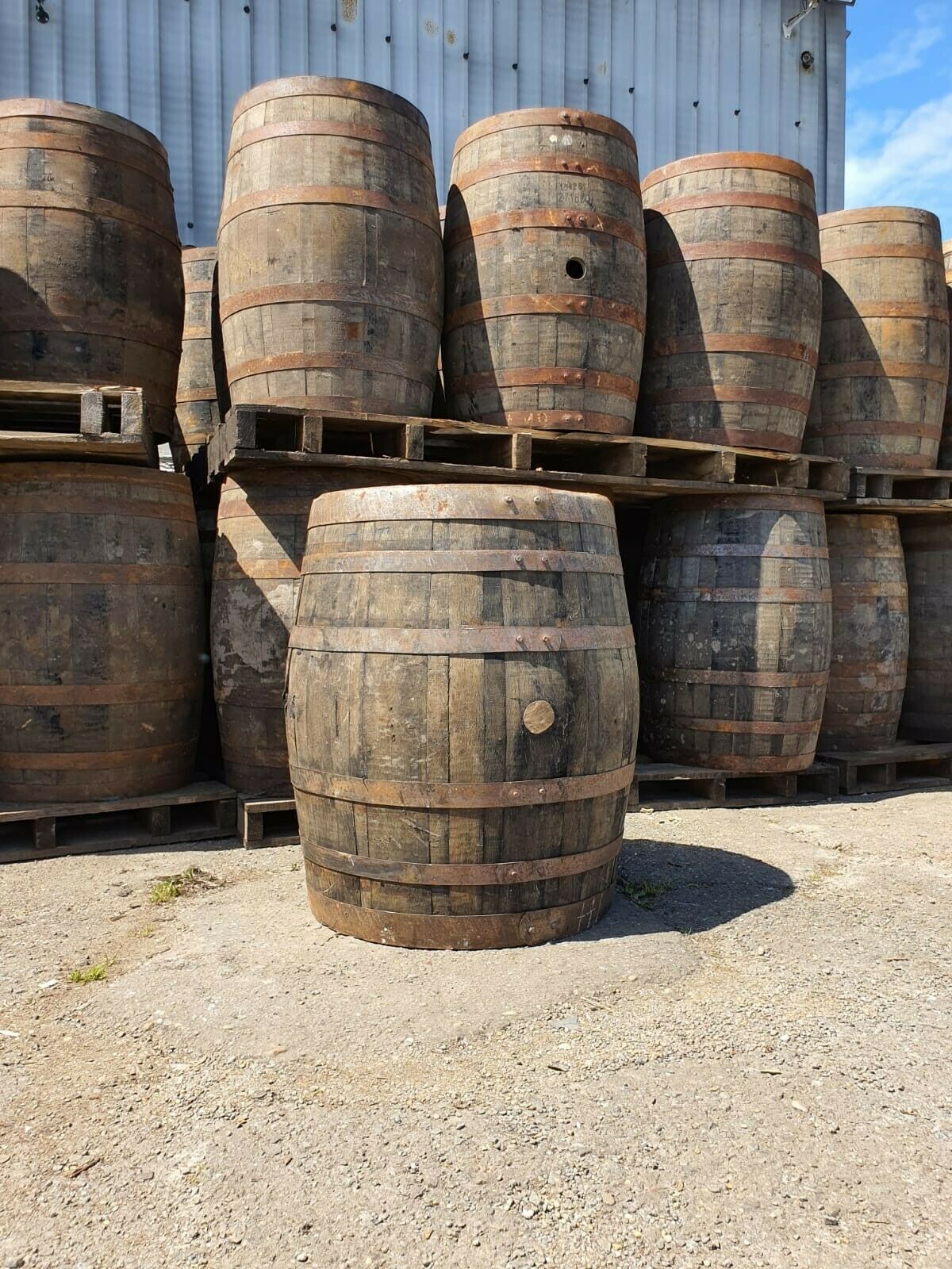 Hogshead Large Wide Oak Whisky Barrel The Barrel Store