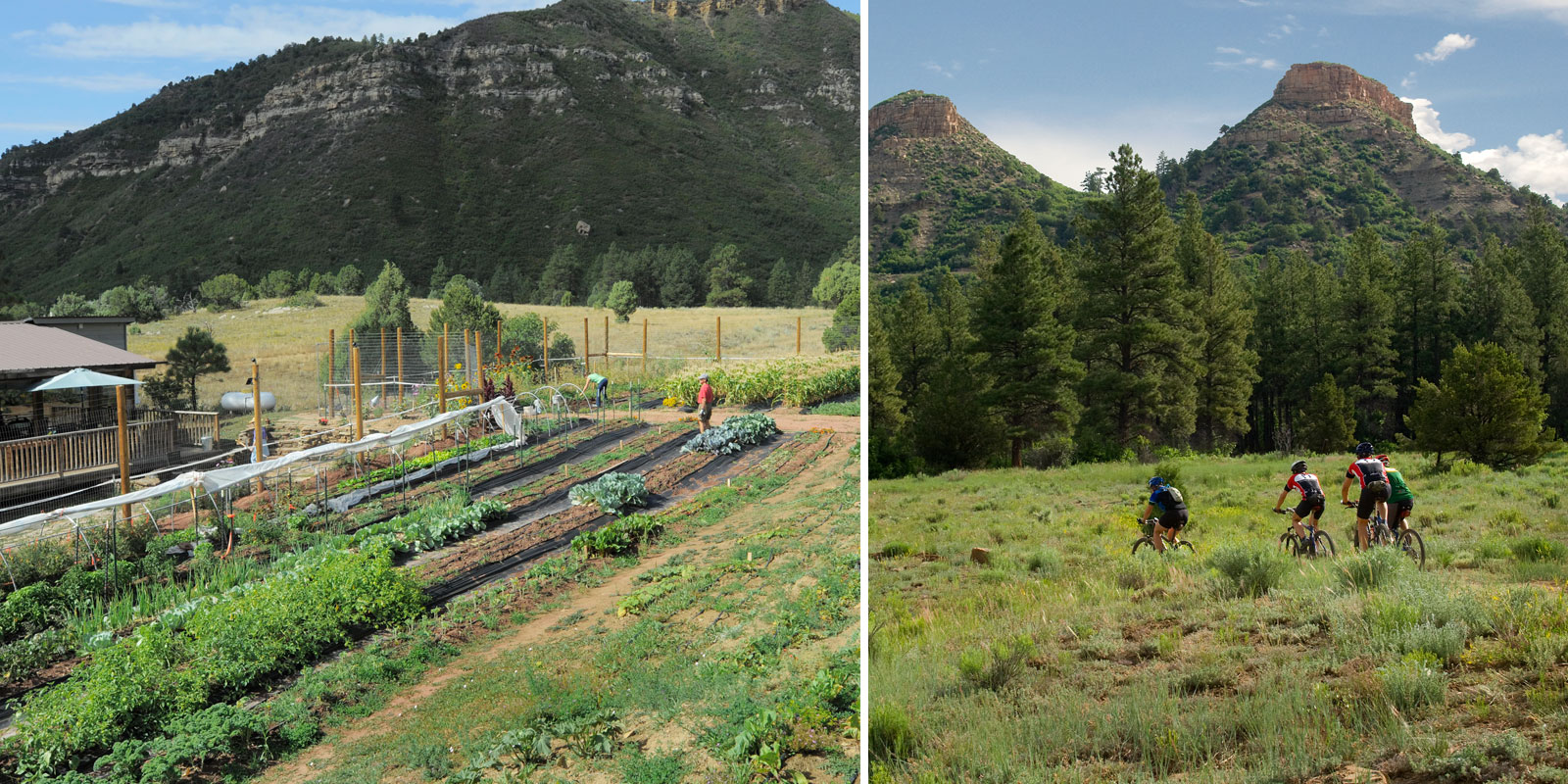 Twin Buttes Barrett Studio Architects