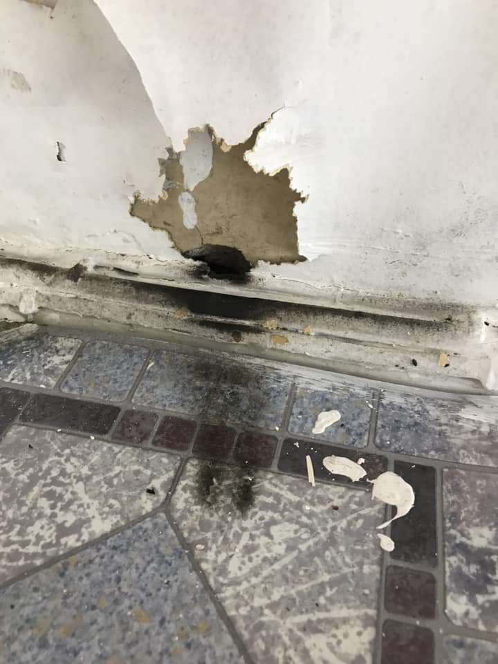 How to Get Rid of Mice Barricade Pest Control Edinburgh