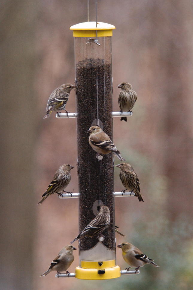 Wild Birds Unlimited Nature Shop