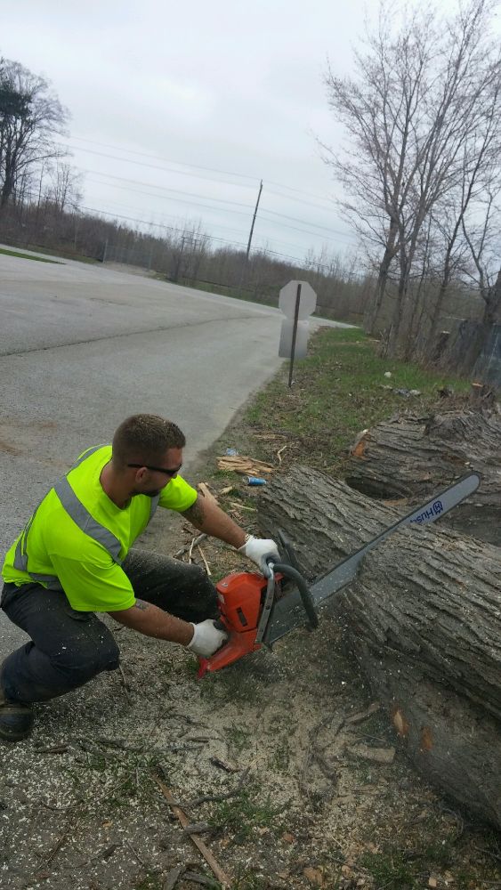 Brad's Tree Service Barrie Ads