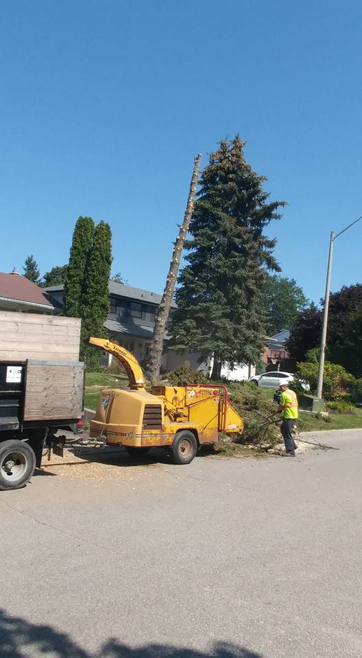Brad's Tree Service Barrie Ads