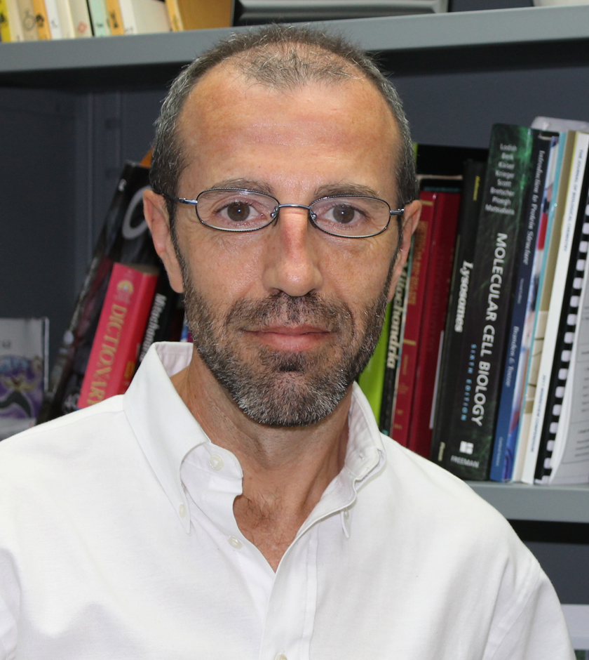 Dr. Antoni Barrientos, Ph.D. Barrientos Lab