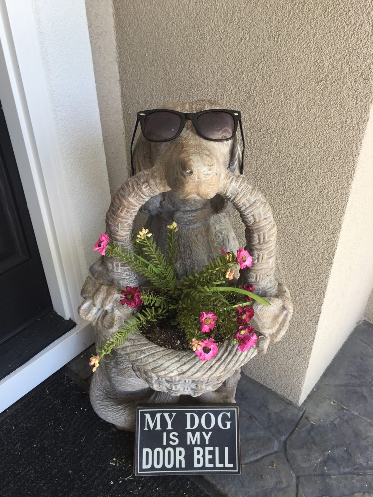 Is pest control safe for dogs and cats? By Kirk Dean Barrier Pest Control