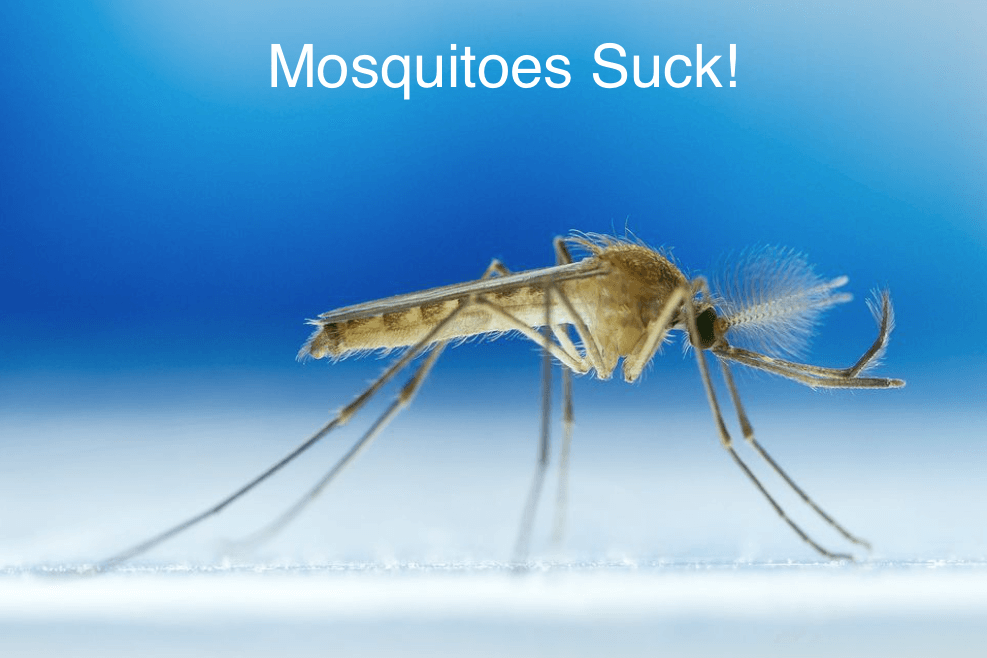 Did you hear? Mosquitos Suck! Barrier Pest Control