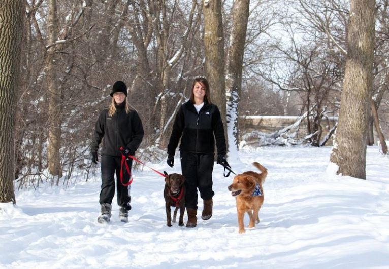 Old railroad corridors near Chicago transformed into allweather trails for hiking, cycling and