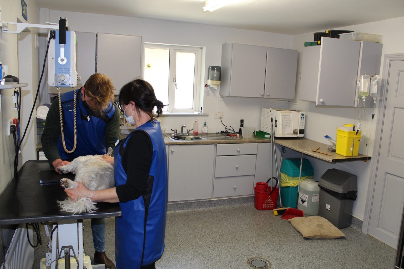 Veterinary Hospital Barrow Veterinary Hospital New Ross
