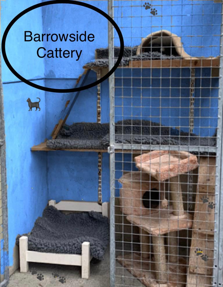 Kenneling Barrow Veterinary Hospital New Ross