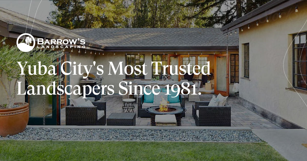 Residential Hydroseed Barrows Landscaping