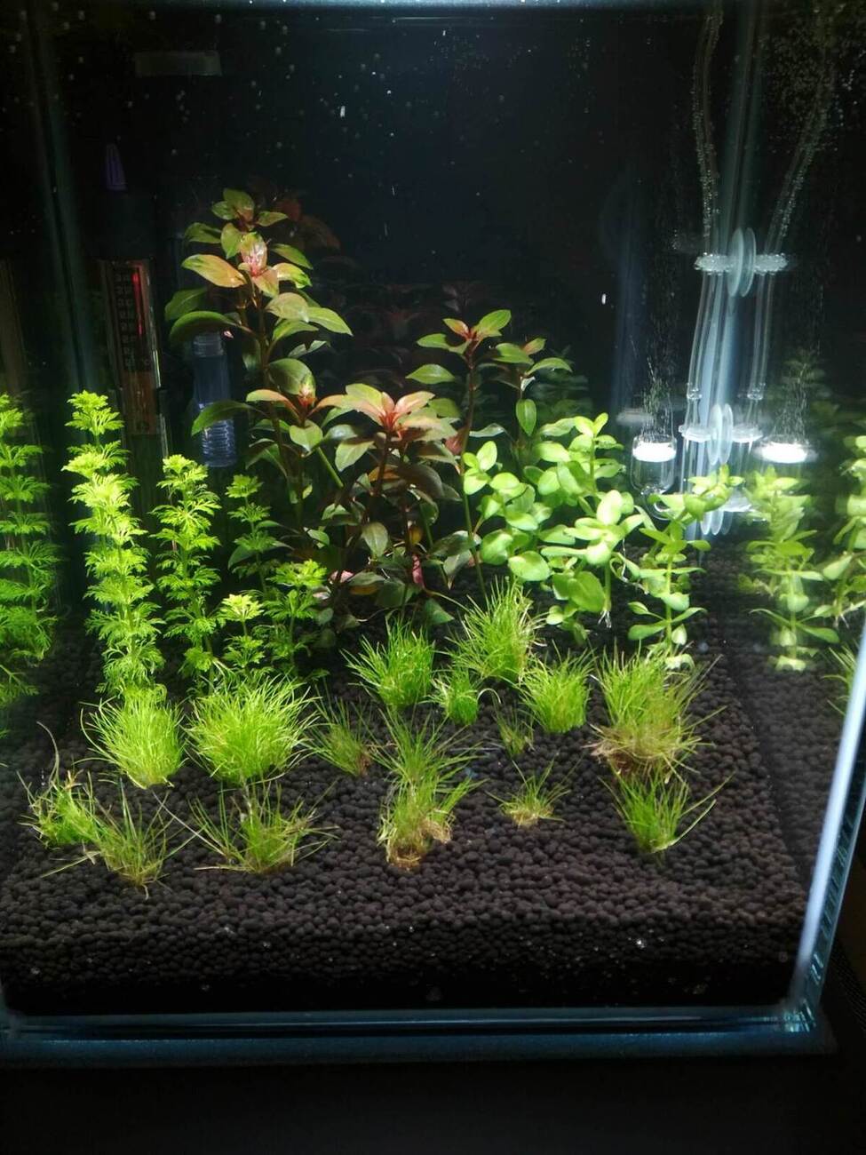 Co2 Aquarium Set Hornbach DE Hornbach