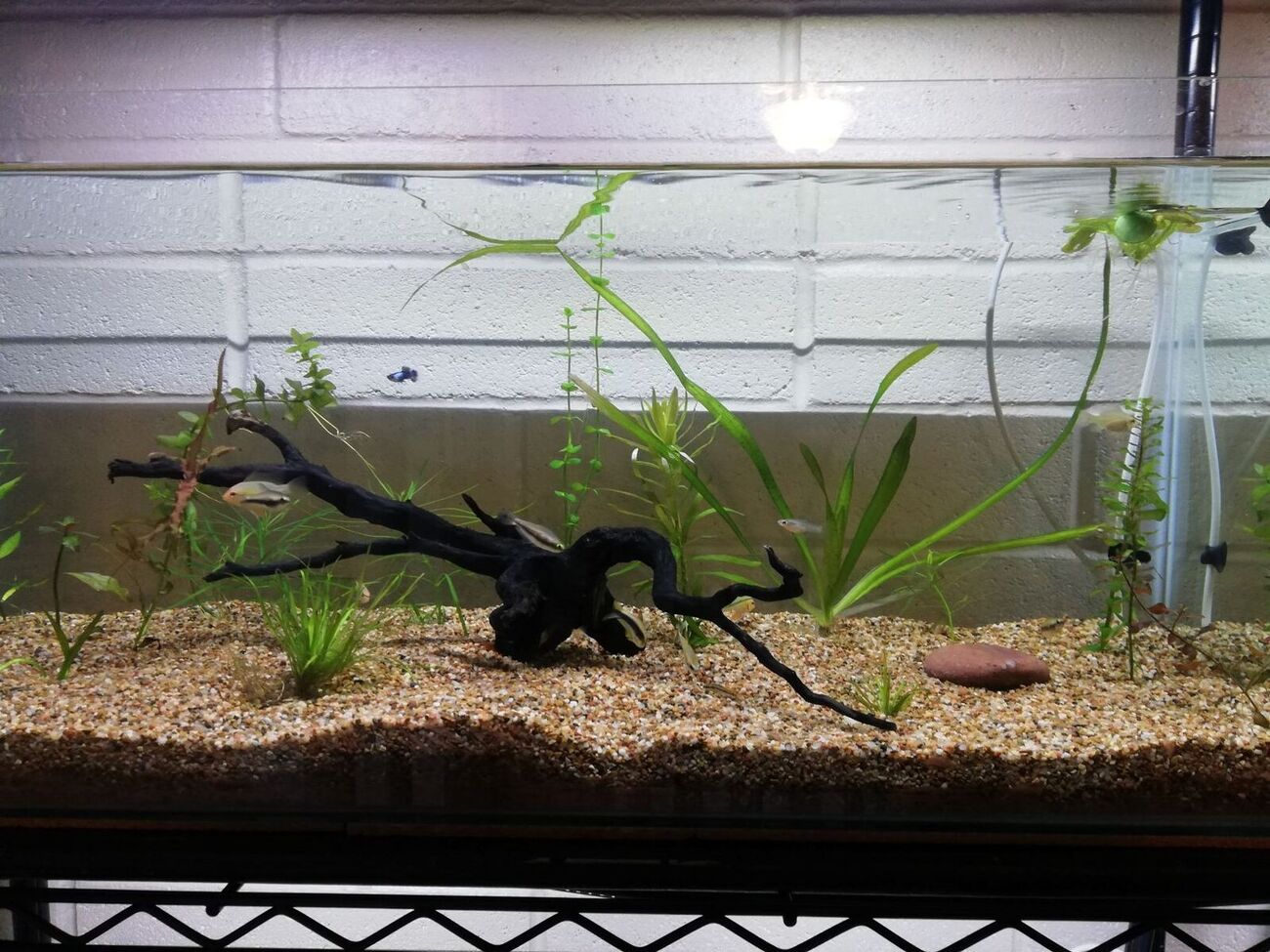 Introduce yourself and tell us what do you keep? Page 13