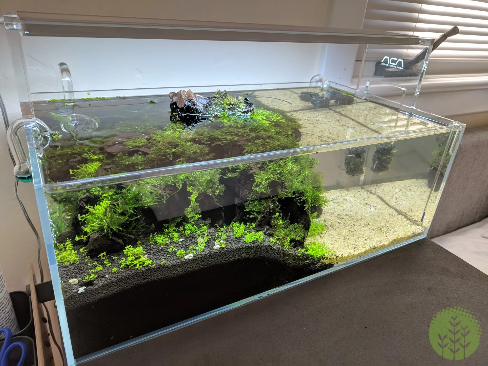Long Shallow Aquarium 1000+ Aquarium Ideas