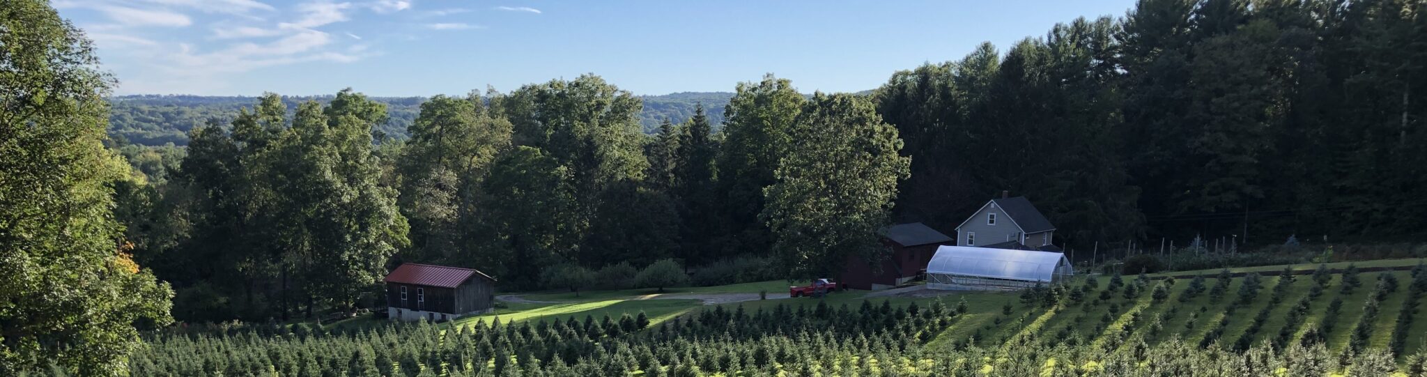 Christmas Tree Farm Barry Farms, LLC Harwinton, CT 8605670649