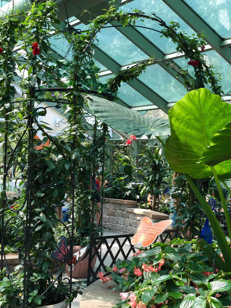 BUTTERFLY CONSERVATORY BARRY J. POLZIN ARCHITECTS