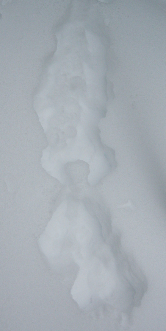 The Changes in a Person