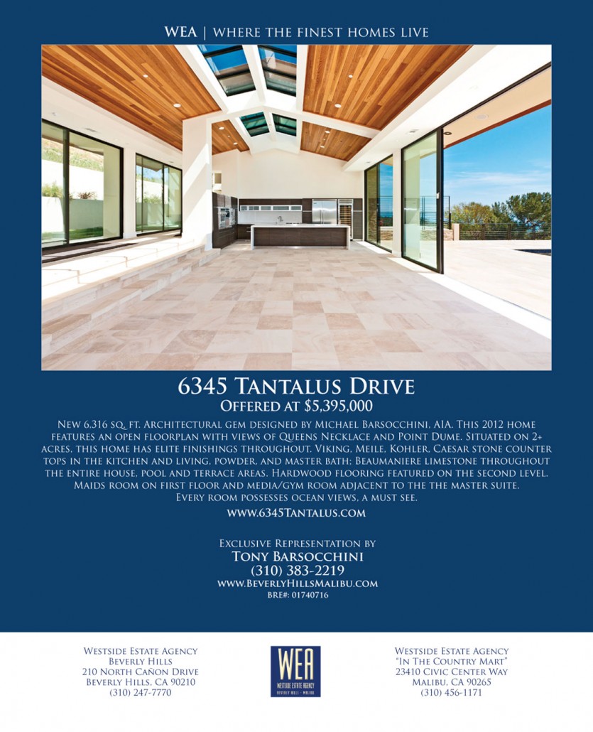 6345 Tantalus Drive Barsocchini & Associates Designs