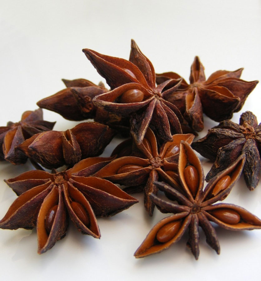 Star Anise Bartanica
