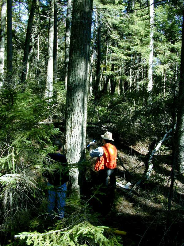 Bartlett Experimental ForestThe