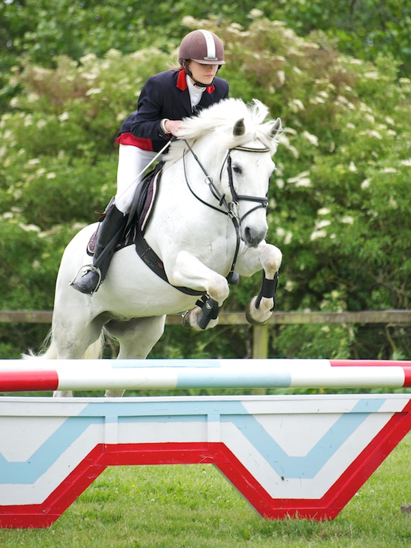 Barton Equestrian Centre About Us