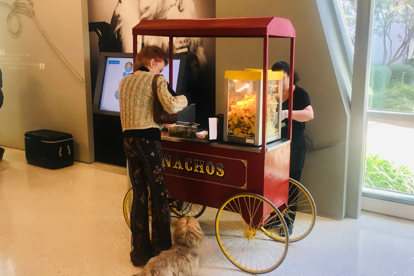 Nacho Carts Barts Carts