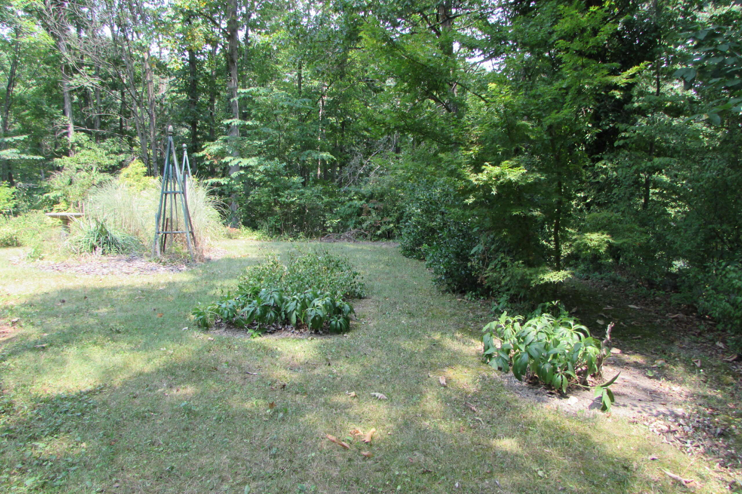 306 Heatherton Drive, Covington, VA B.A. Rupert