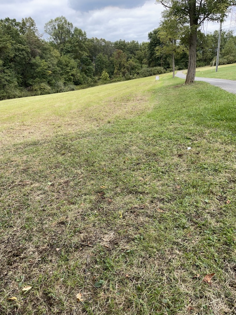 South Raymond Avenue, Covington, VA 24426 B.A. Rupert