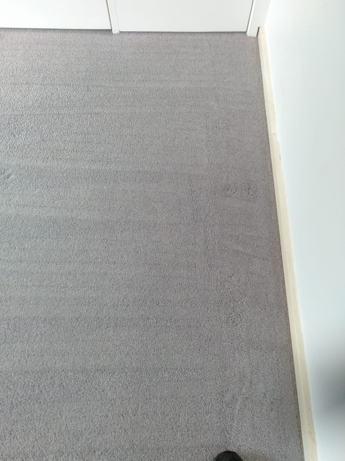 Carpet Cleaning Geelong Gallery