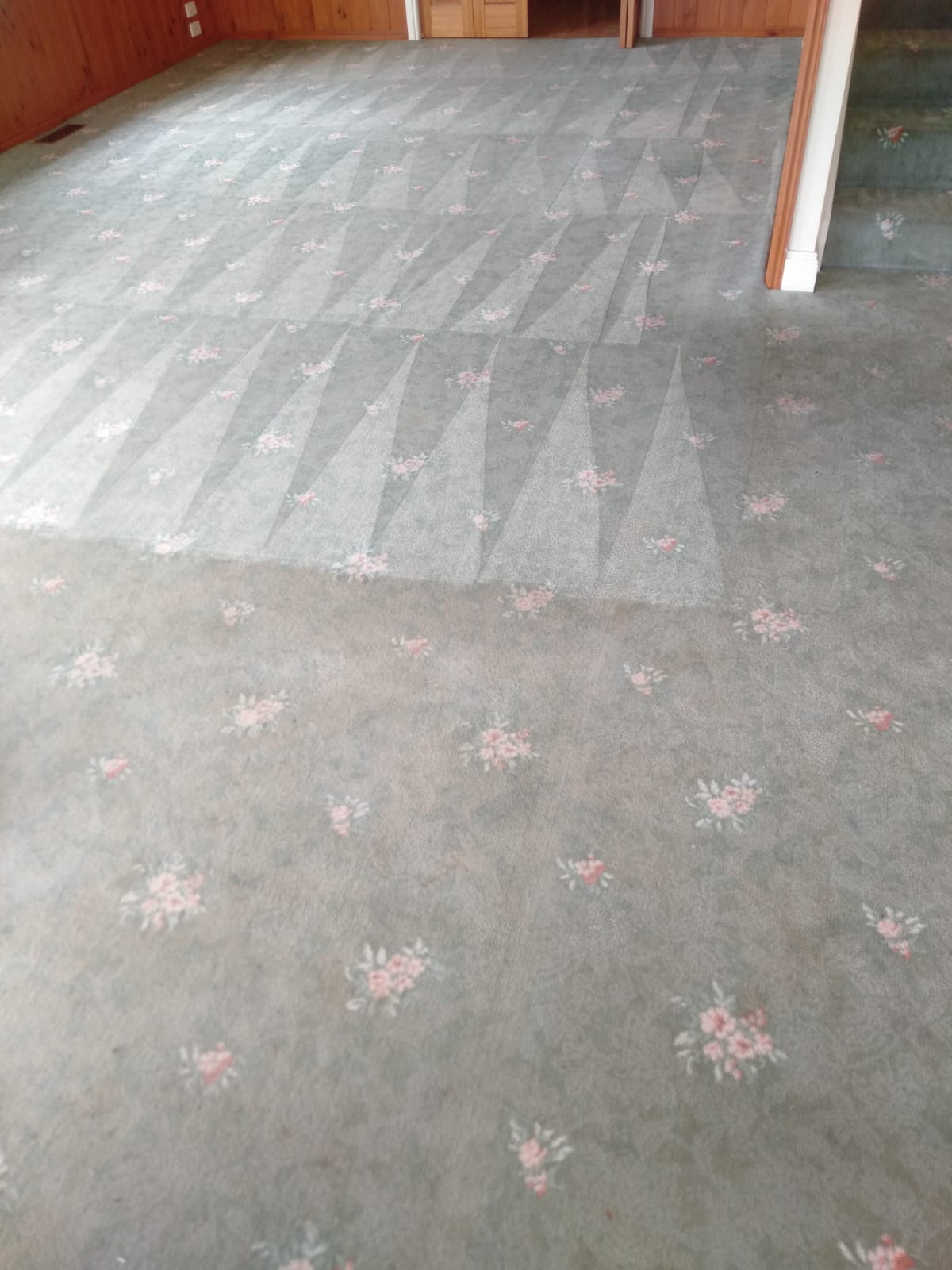 Carpet Cleaning Geelong Gallery