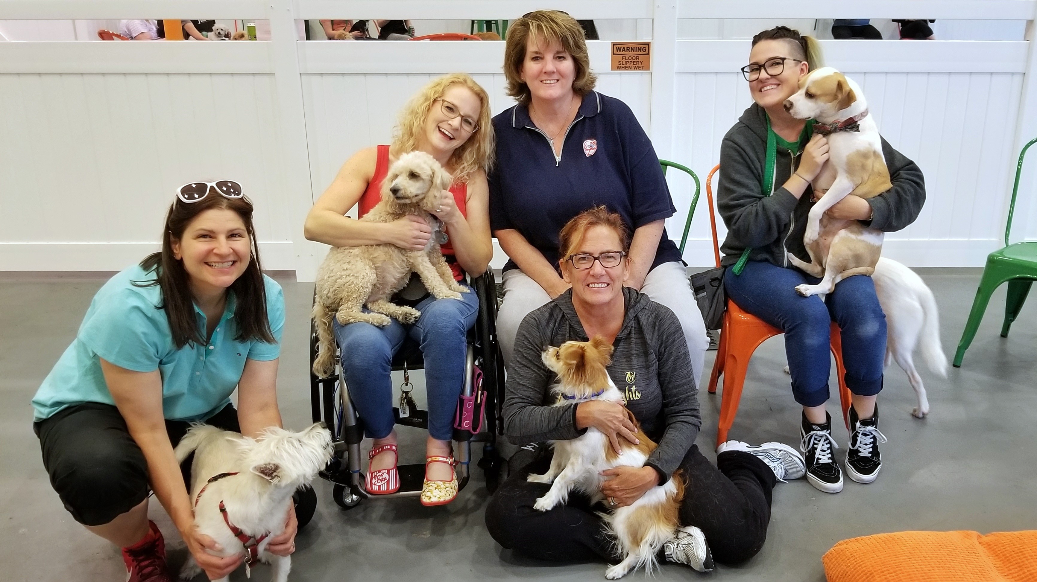 Indoor Dog Park Las Vegas Indoor Dog Play Park Craft Beer Barx Parx