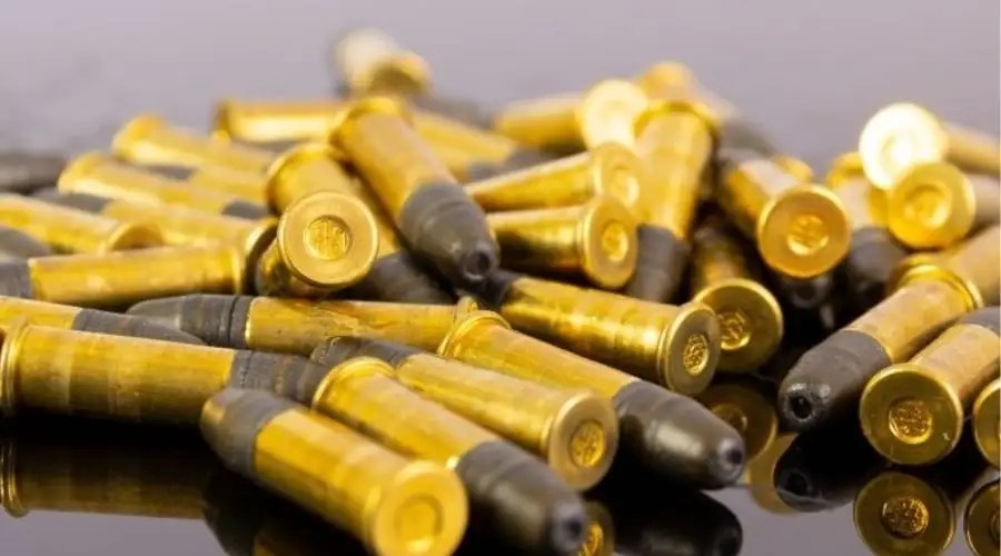 BASC rejects UK woodland lead ban BASC