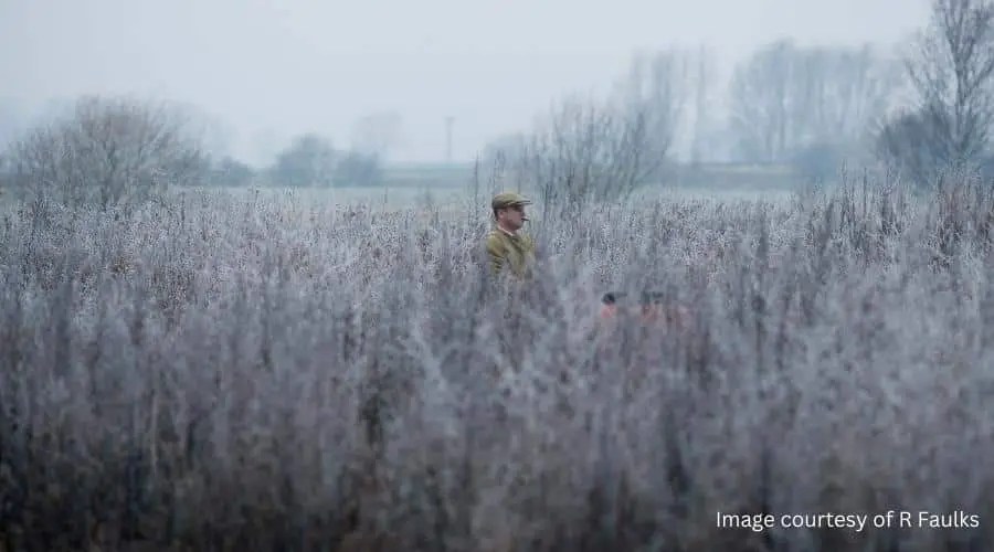 Rough shooting in Scotland have your say BASC