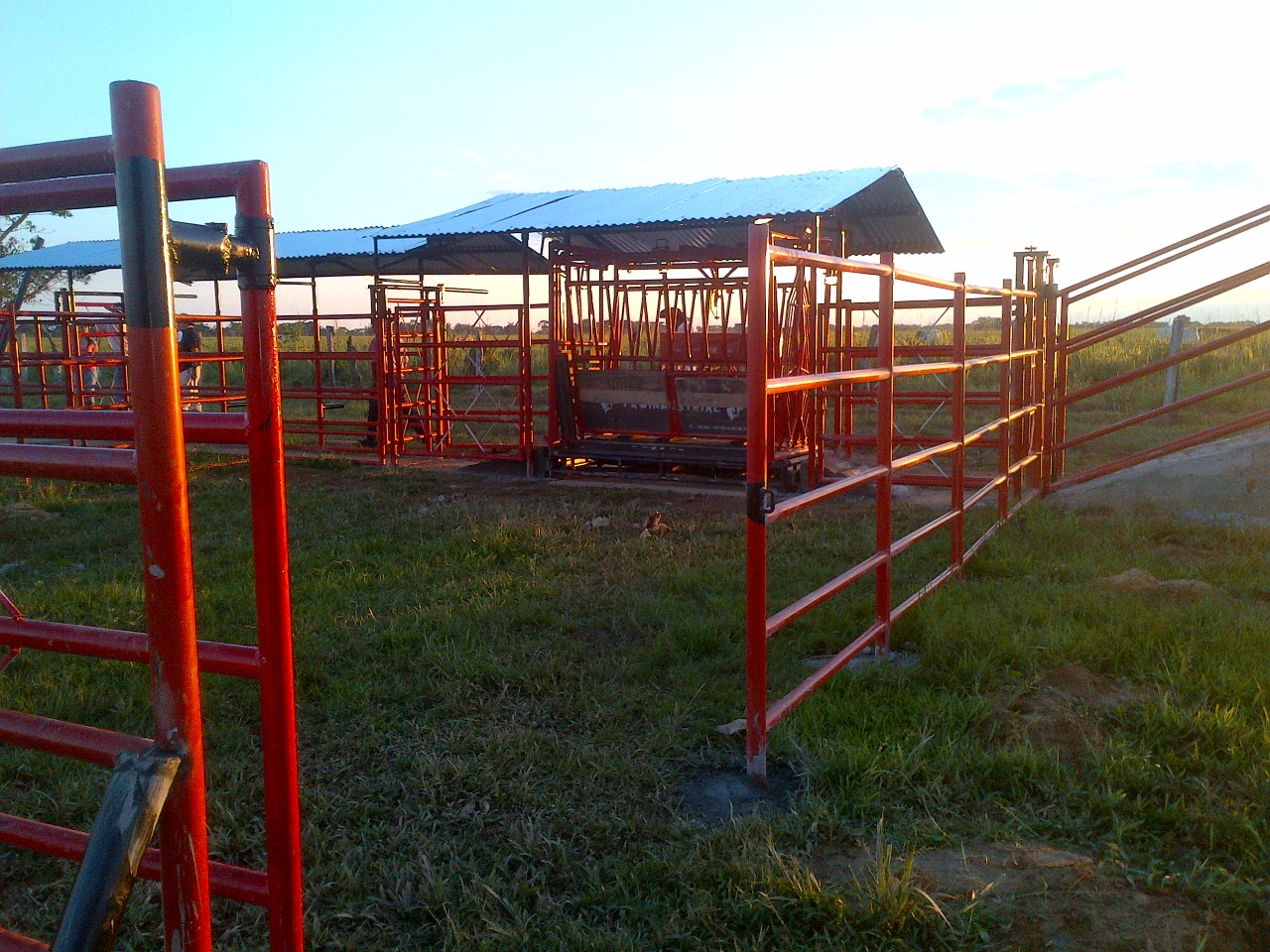 Corrales Modulares en Tubo Básculas Proindustriales